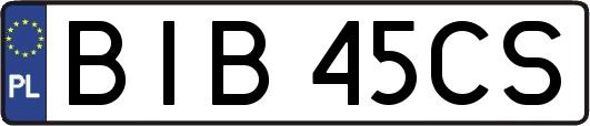 BIB45CS