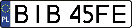 BIB45FE