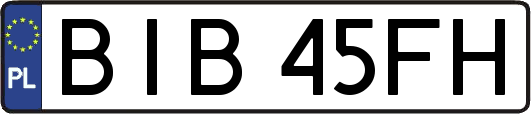 BIB45FH