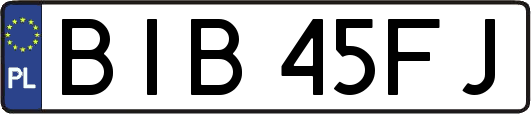 BIB45FJ