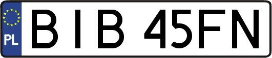 BIB45FN