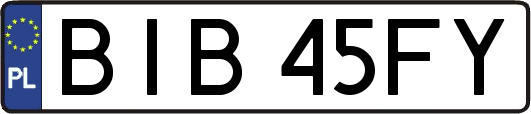 BIB45FY