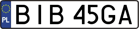 BIB45GA