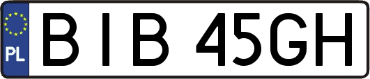 BIB45GH