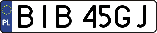 BIB45GJ