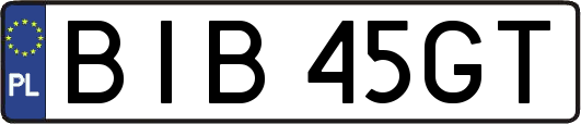 BIB45GT