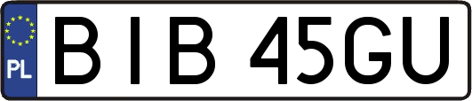 BIB45GU