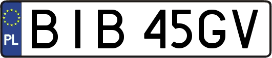 BIB45GV