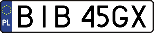 BIB45GX