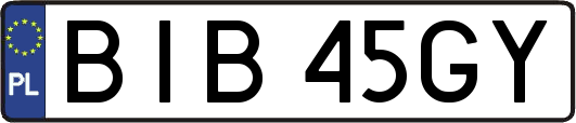 BIB45GY
