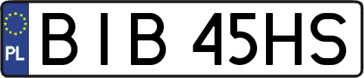 BIB45HS