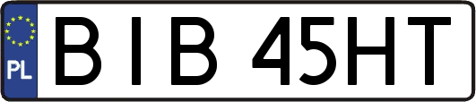 BIB45HT