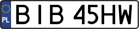 BIB45HW