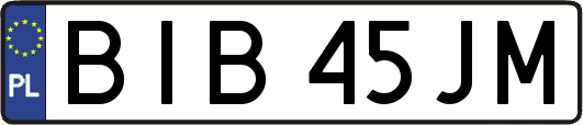 BIB45JM