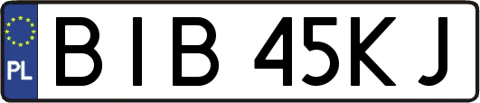 BIB45KJ