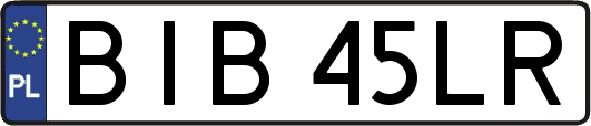 BIB45LR