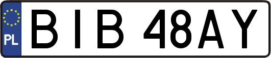 BIB48AY