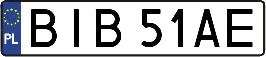 BIB51AE