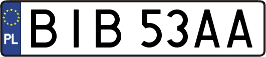 BIB53AA