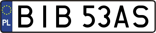 BIB53AS