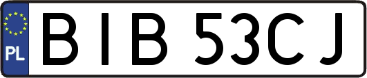 BIB53CJ