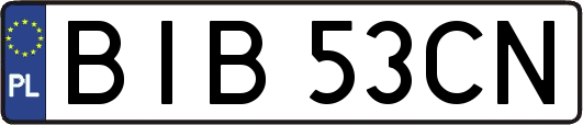 BIB53CN