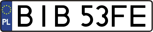 BIB53FE