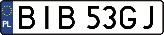 BIB53GJ