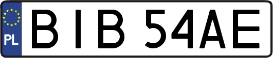 BIB54AE