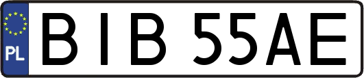 BIB55AE