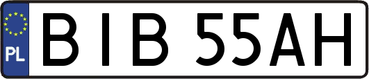 BIB55AH