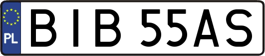BIB55AS