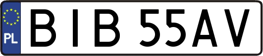 BIB55AV
