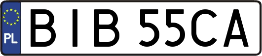 BIB55CA