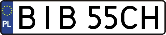 BIB55CH