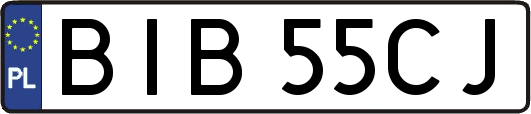 BIB55CJ