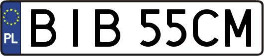 BIB55CM