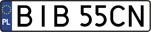 BIB55CN