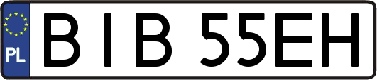 BIB55EH
