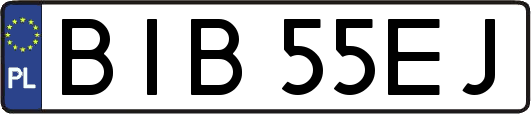 BIB55EJ