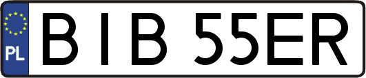 BIB55ER