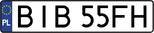BIB55FH