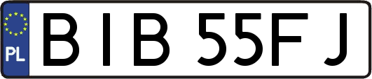 BIB55FJ