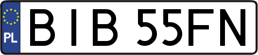 BIB55FN