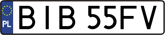 BIB55FV