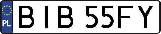 BIB55FY