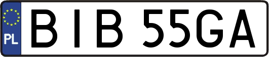 BIB55GA