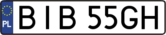 BIB55GH