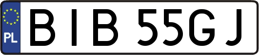 BIB55GJ