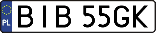 BIB55GK